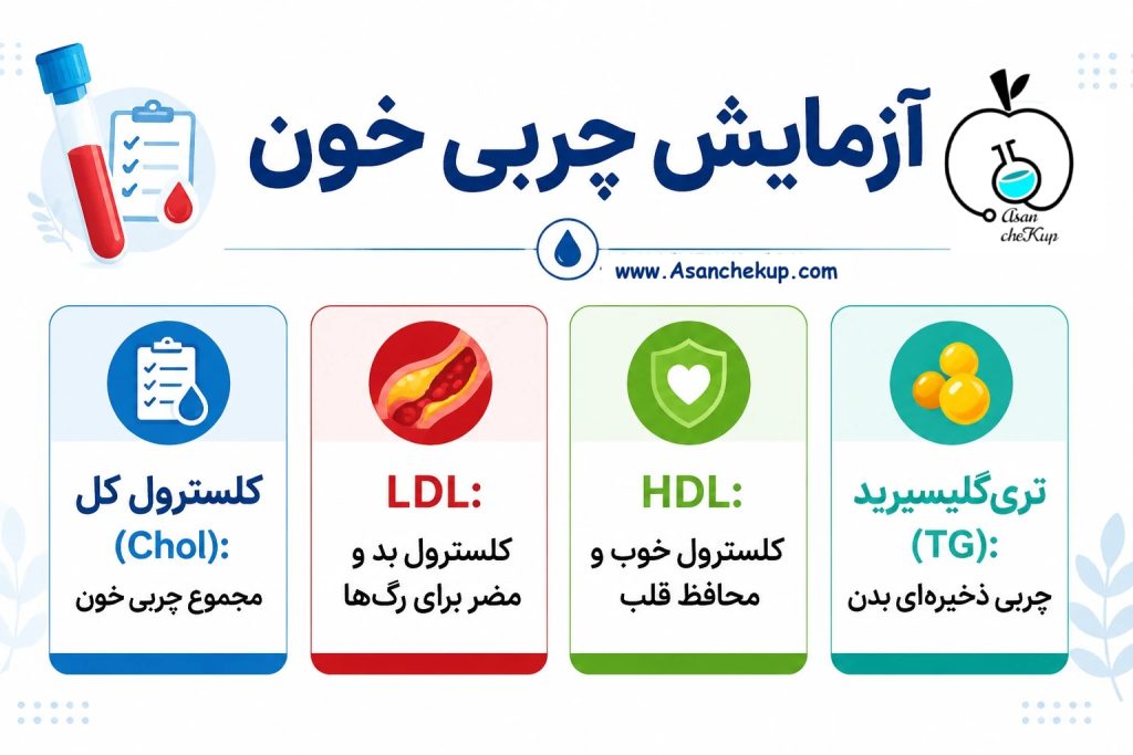 انواع آزمایش چربی خون